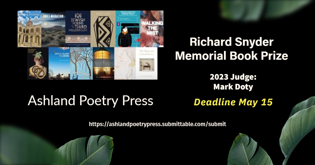 Record number of submissions for Snyder Prize